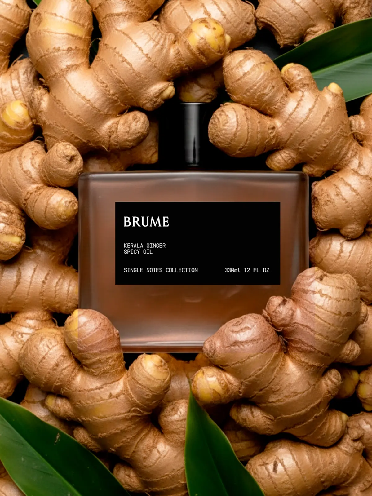 Kerala Ginger (330ml)